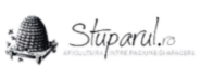 Logo client eCommerce Transilvania Marketing